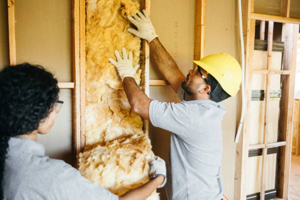 Professional Insulation in Baldwin, FL